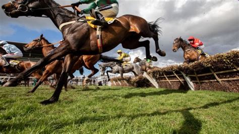 cheltenham races bets - Cheltenham festival betting